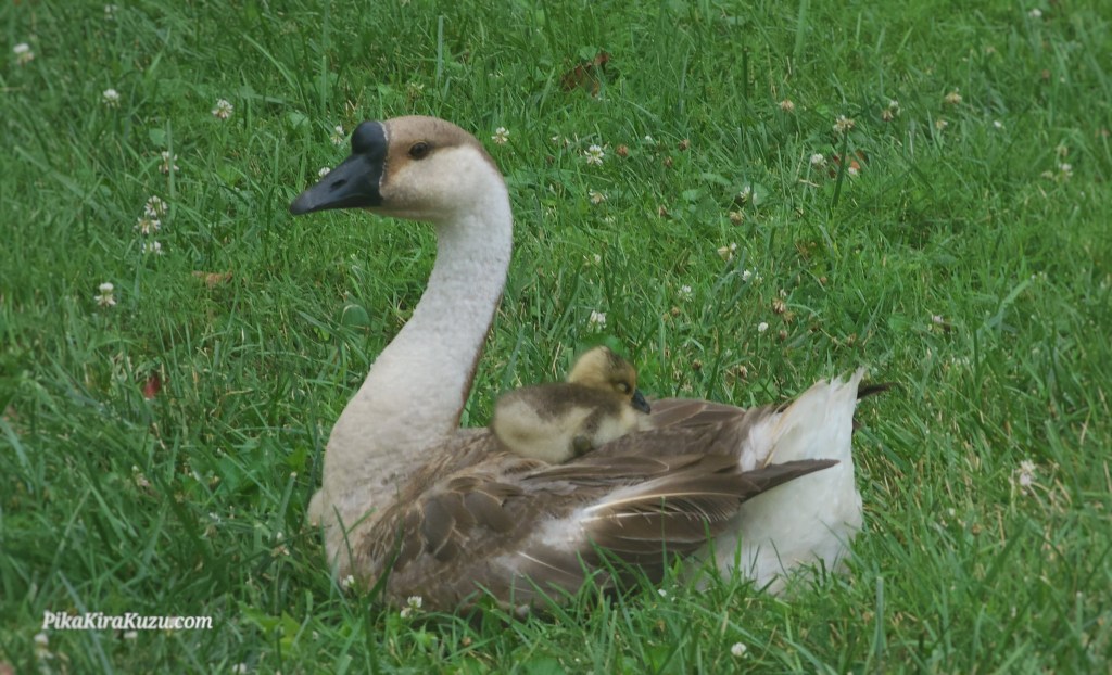 [Photography] Photo dump&nbsp;2